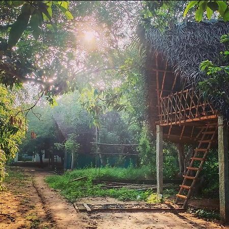 Art Forest بونديتْشيري المظهر الخارجي الصورة