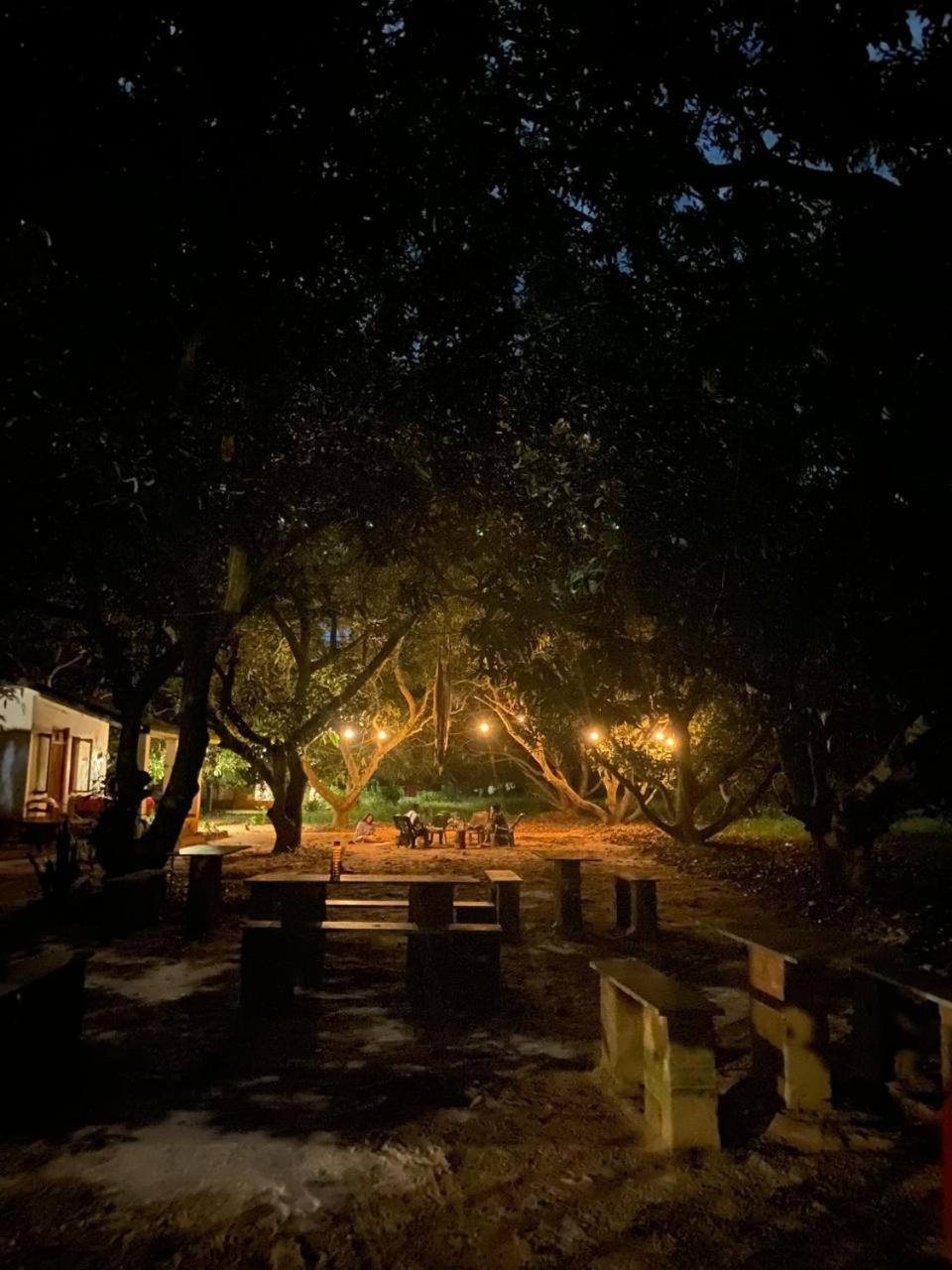 Art Forest بونديتْشيري المظهر الخارجي الصورة