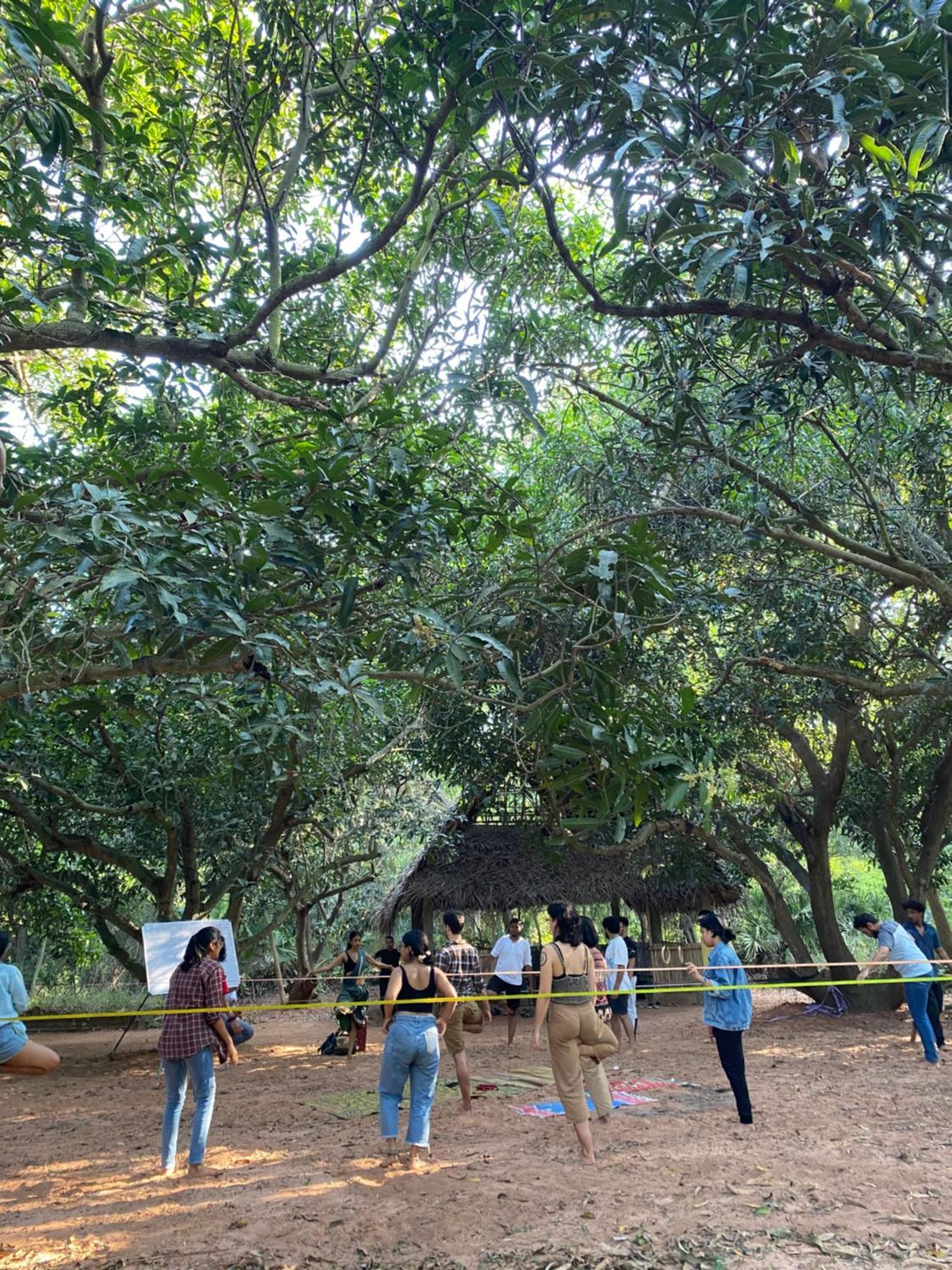 Art Forest بونديتْشيري المظهر الخارجي الصورة