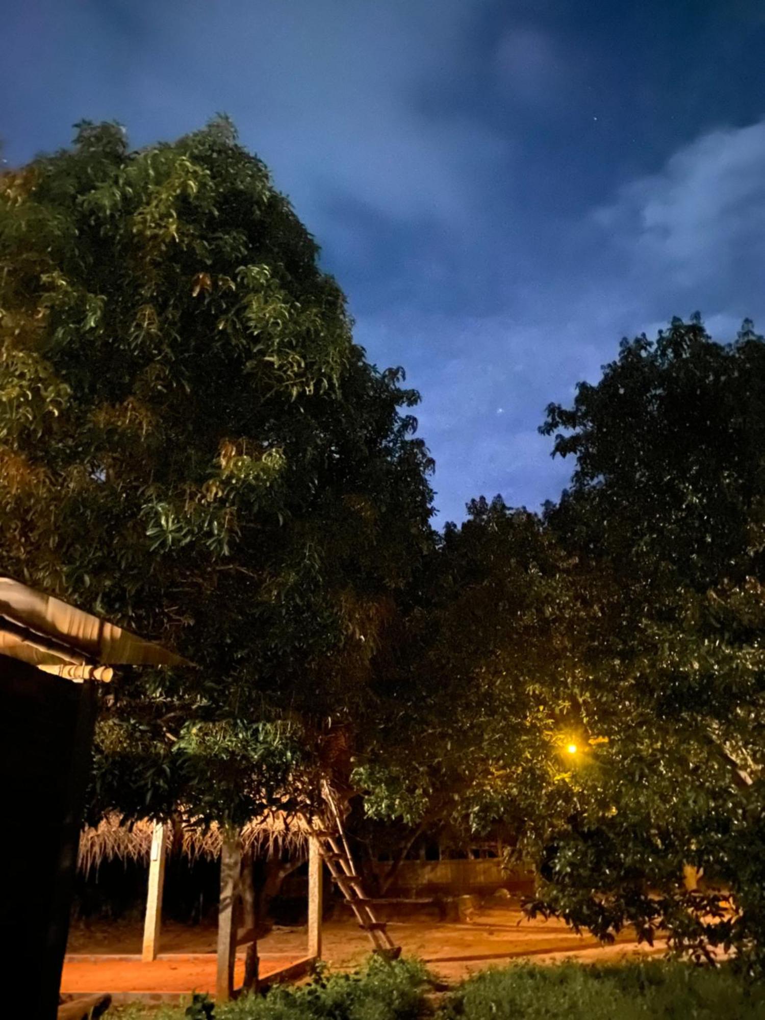 Art Forest بونديتْشيري المظهر الخارجي الصورة